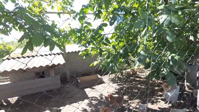 Рассветы, закаты. Ждём дочь. Потолок и дизайн гостиной. Прогульщик смотреть онлайн