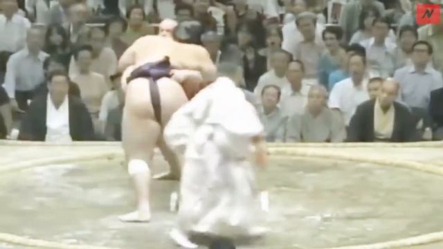 Таканояма борец сумо из Чехии    #сумо