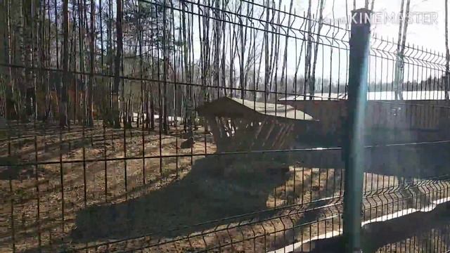 ОТЗЫВ о Парк-отель "ФЕСТИВАЛЬ". смотреть онлайн