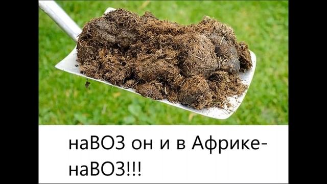 ПL@ ндемичеSкое соглашение наВОЗа-это к@юк ❗❗❗ Нельзя допустить этого!!!??? смотреть онлайн