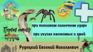 Первая помощь при тепловом солнечном ударе и укусах насекомых и змей.