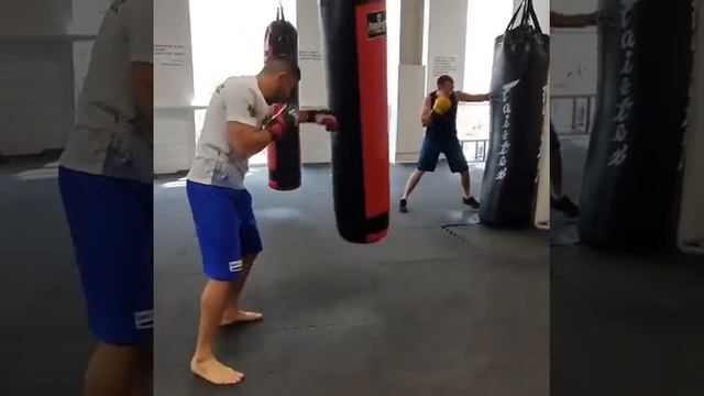 Боксерские мешки Prospect Boxing смотреть онлайн