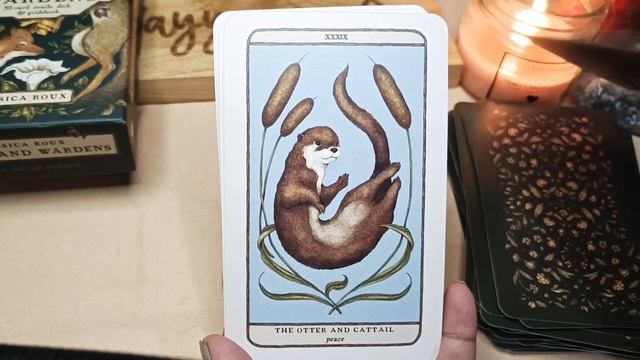 Woodland Wardens Oracle (by Jessica Roux) ~ Unboxing + Flipthrough + Sample Reading смотреть онлайн