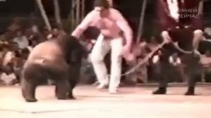 Как Выжить при нападении Шимпанзе? [ Советы по выживанию - Дикая природа ]