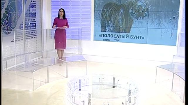 Стали известны подробности нападения тигра на охотника смотреть онлайн