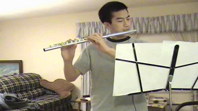 Reflection- Mulan (Flute/Piano Duet) смотреть онлайн
