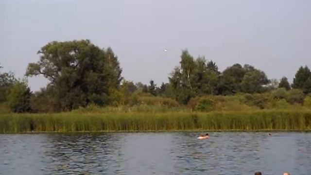 пожары в воронежской области смотреть онлайн