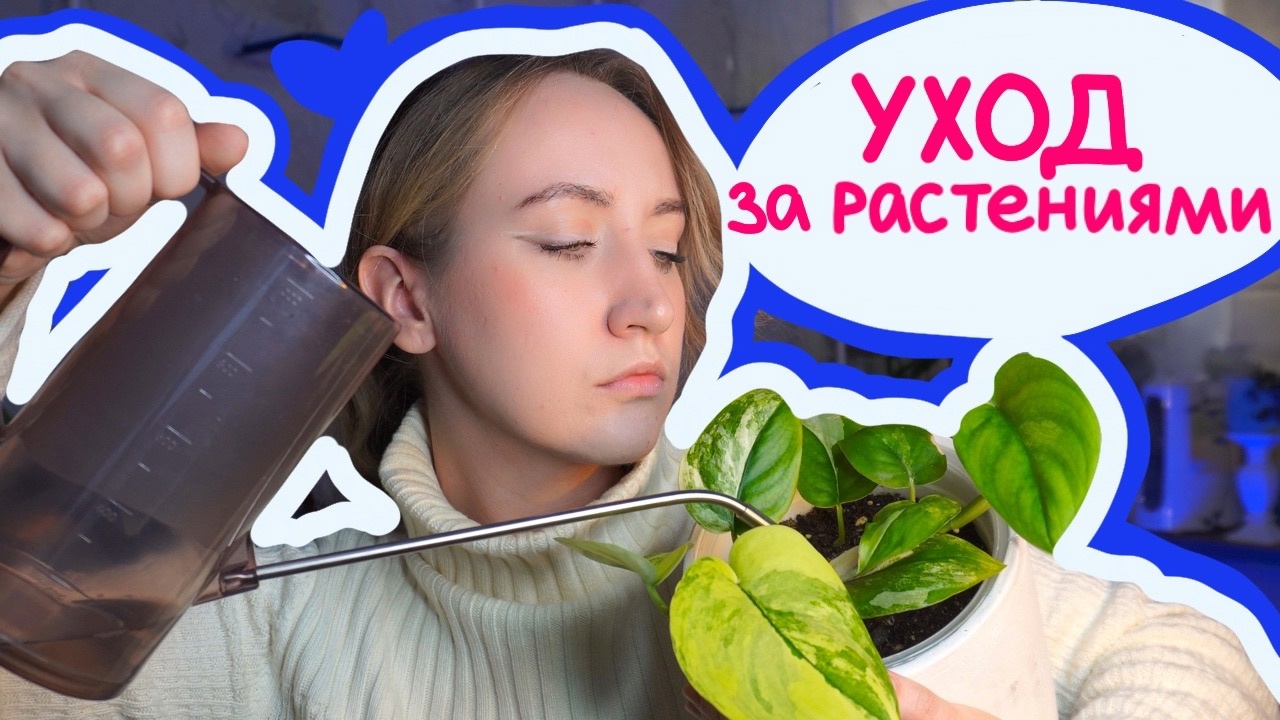 УХОД ЗА КОМНАТНЫМИ РАСТЕНИЯМИ | Уютный вечер с ЦВЕТАМИ смотреть онлайн