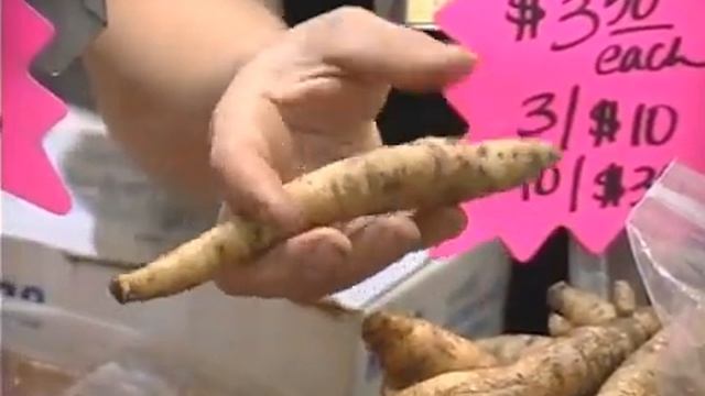 Planting Incarvillea Bulbs смотреть онлайн