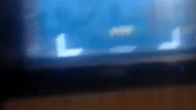 Tennis IN The face на ps 3 смотреть онлайн