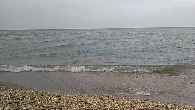 Море Каспий смотреть онлайн