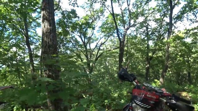 Regulmoto HOLESHOT 2022г +БИГБОР | Тесты разных людей | Лес смотреть онлайн