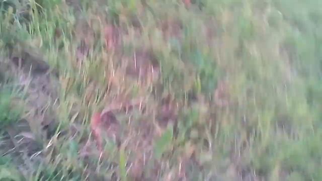Покатушка на мопеде Карпаты смотреть онлайн