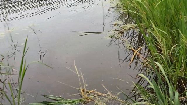 Чудо печь . Банька по чёрному . Как отдохнуть за 2 дня . смотреть онлайн