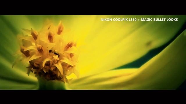 Nikon Coolpix Video Test смотреть онлайн