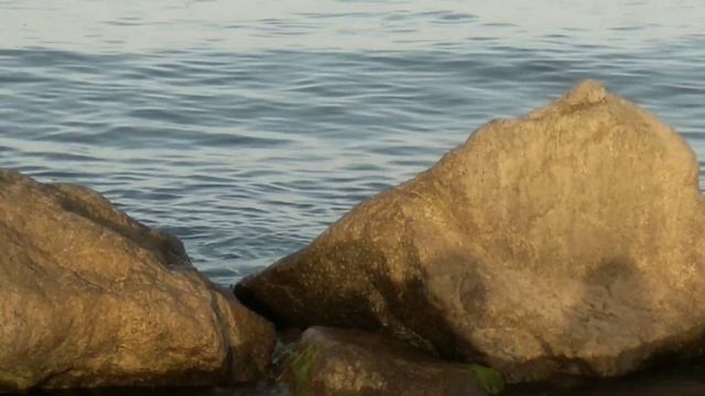 Азовское море/ Новопетровка/ Моя жена художник 2 смотреть онлайн