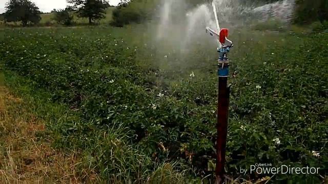 Полив картошки разбрызгивателем 50PY2H смотреть онлайн