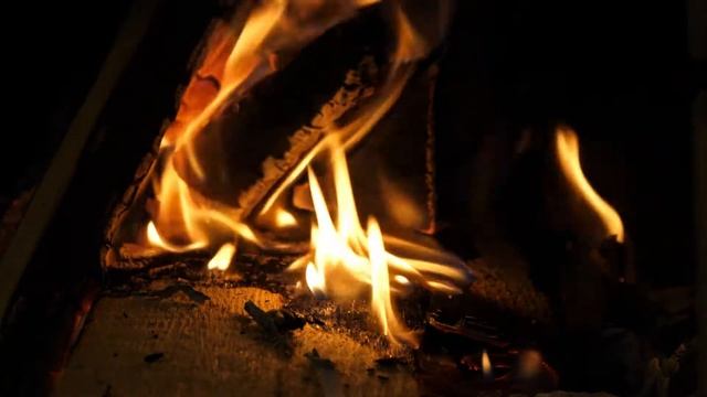 Живой Огонь. Костер. Звуки ночного леса у костра. смотреть онлайн