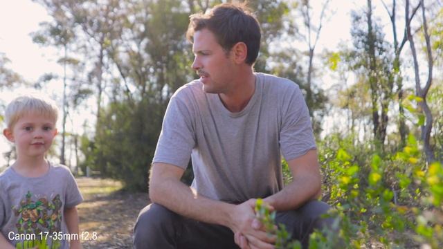 Budget Wide Angle Lens For Canon Full Frame DSLR