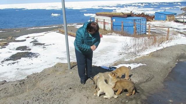 Итуруп 2020 смотреть онлайн