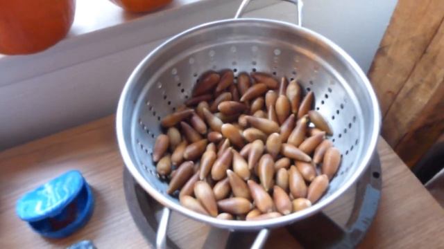 Scrap Attack! Ep. 1 - Current Projects & Behind The Scenes смотреть онлайн