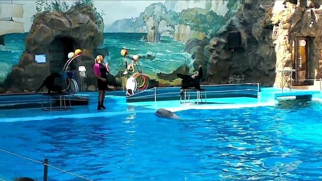 Харьков, красивейшие места! Парк Шевченко, дельфинарий Немо, городской сад. Красочная прогулка! смотреть онлайн