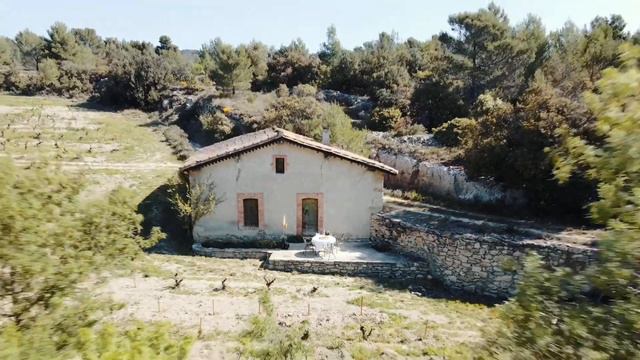 Minervois, in Vino Veritas смотреть онлайн