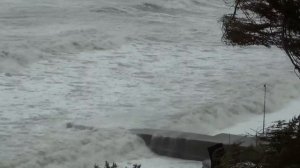 Цунами на Чёрном море