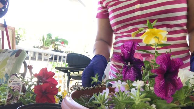 How to make flower basket and save money by doing it yourself (DIY) смотреть онлайн