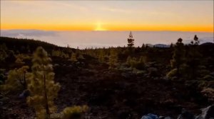 Куда ведет твоя дорога?