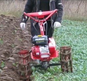 Красивая работа мотоблоком Салют. Пахота плугом