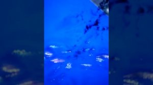 Устранение черных пятен на телевизоре ЖК