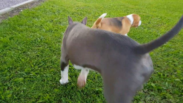 я сижу в гостях смотреть онлайн