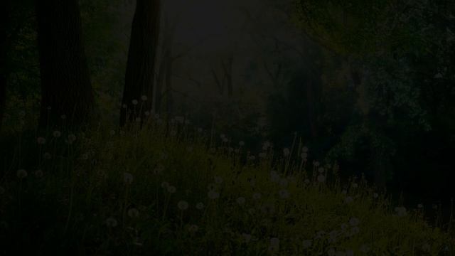 Rain sounds with Tibetan singing bowls and birds chirping [ sleep music ] ( 2020 version ) смотреть онлайн