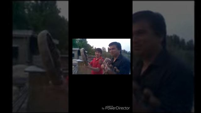 Bohodir Ergashev NOKASLAR HD смотреть онлайн