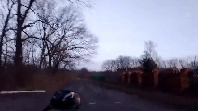 ЗАКОНЧИЛСЯ БЕНЗИН СЕРЕД ПОЛЯ!?? покатушки на Honda Takt 30 смотреть онлайн