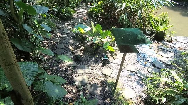 Тайбей Taipei Тайвань-это другой Китай, Тайбэйский зоопарк, Taipei Zoo смотреть онлайн