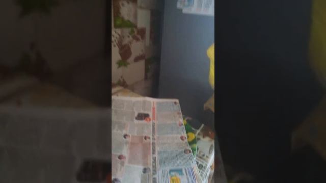 Красный 🌋 вулкан смотреть онлайн