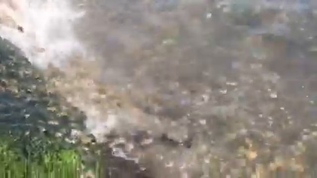 Это надо видеть!!! Речной карась в Чёрном море!!! смотреть онлайн