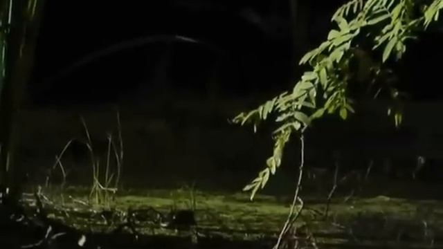 Сонково Осень 2012 смотреть онлайн