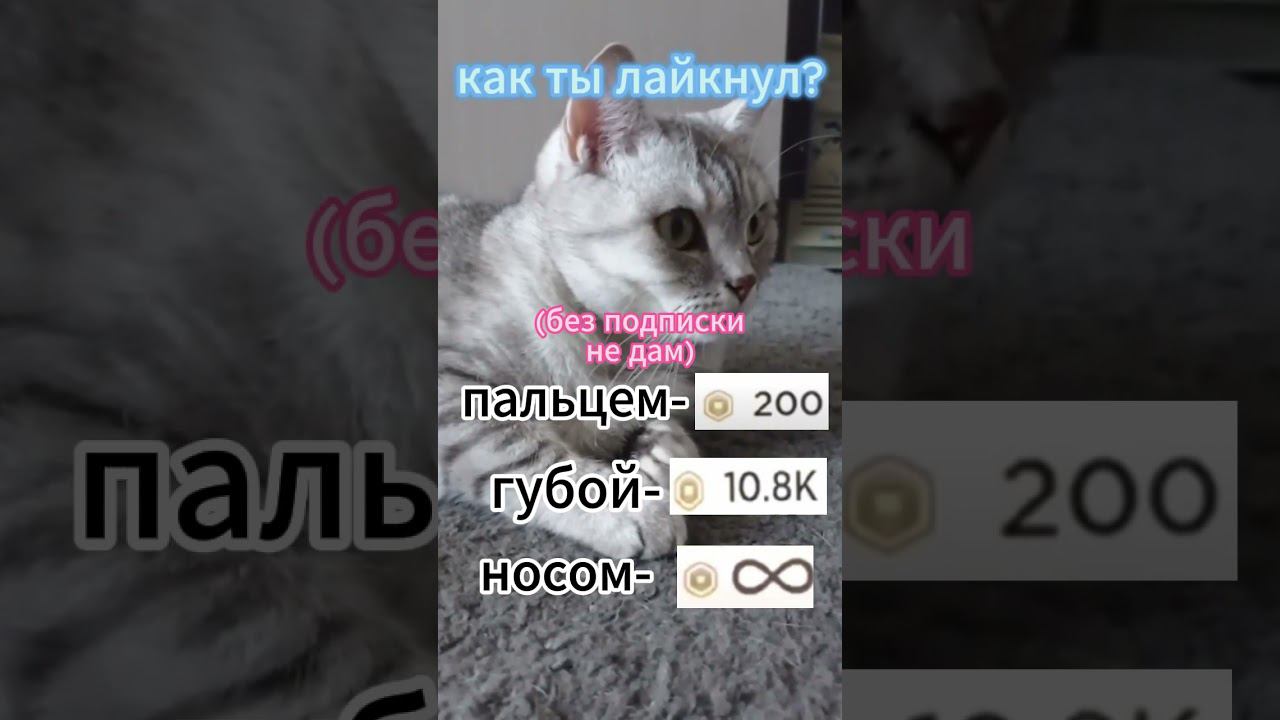 26 мая 2024 г. смотреть онлайн
