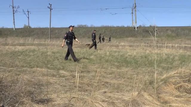 Поиски пропавшего ребенка в Аткарске смотреть онлайн