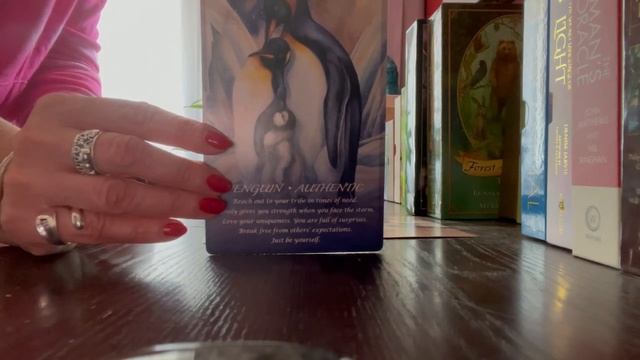 Today’s tarot is from my Spirit of the Animals Oracle deck ?? смотреть онлайн