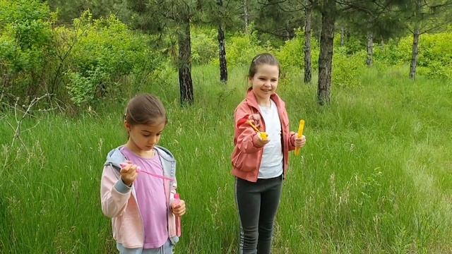 Красивый сосновый лес в Моспино. смотреть онлайн