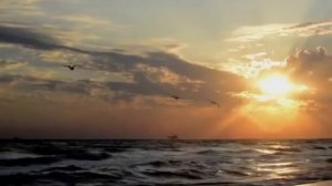 Стих "Нас тянет к тем кто душу обнимает.