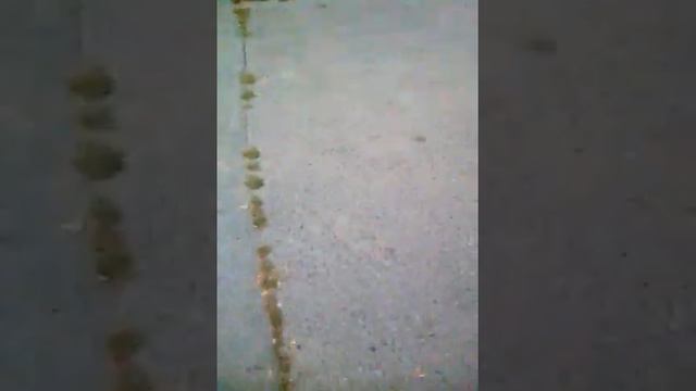 Меня хотят побить подростки смотреть онлайн