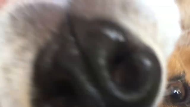 День Бэтти и Джека на даче!!! смотреть онлайн