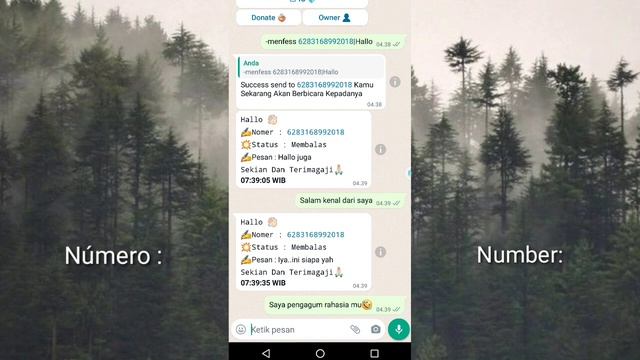 Nomer Bot WhatsApp Terbaru || Bot Sticker WA || Fitur Menfess Viral ? смотреть онлайн