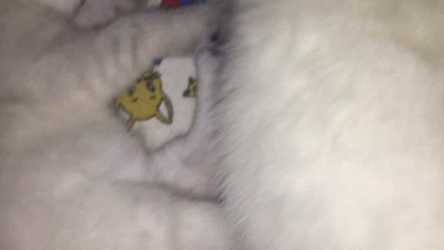 Котятам 21 день. Наигрались , наелись , спят и видят сны ? смотреть онлайн