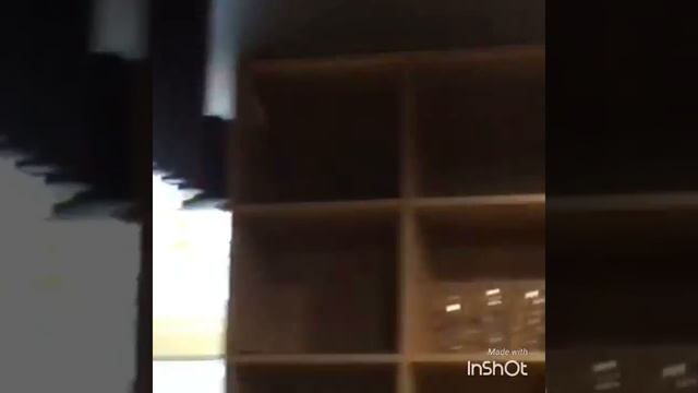 Подготовка к открытию ?